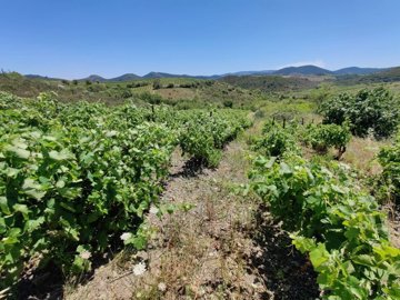 1863d1a529236450c1afc8bf80cb41ad2404bf72db192