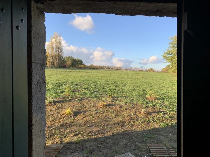 Image No.12-4 Bed House for sale