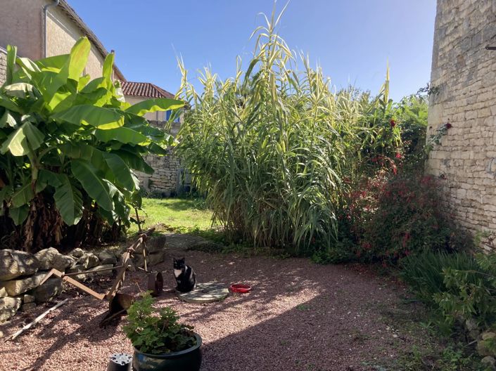 Image No.4-Maison de 3 chambres à vendre à Salles de Villefagnan