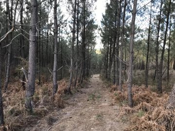 ff365b8b43469f3b7019012755a446471402745f27192