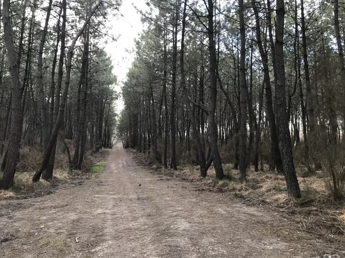 Image No.2-Maison de 3 chambres à vendre à Montguyon