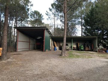 6011069636414013df31699d40286c5ad502bd2aed192