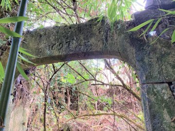 3dd49bf7d8ea352b8cdb322e30830b32dc8f59315c192