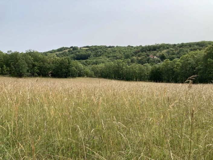 Image No.5-5 Bed Village House for sale