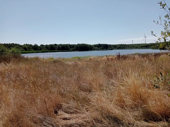 Image No.2-2 Bed House for sale