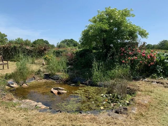 Image No.13-3 Bed House for sale