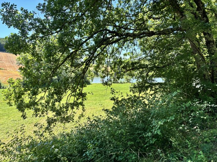 Image No.15-Property for sale