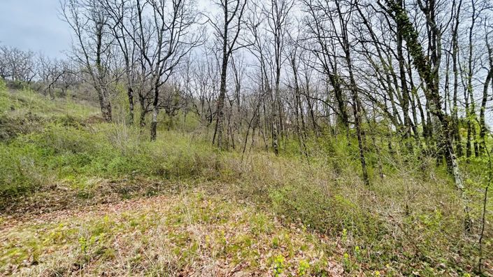 Image No.5-Property for sale