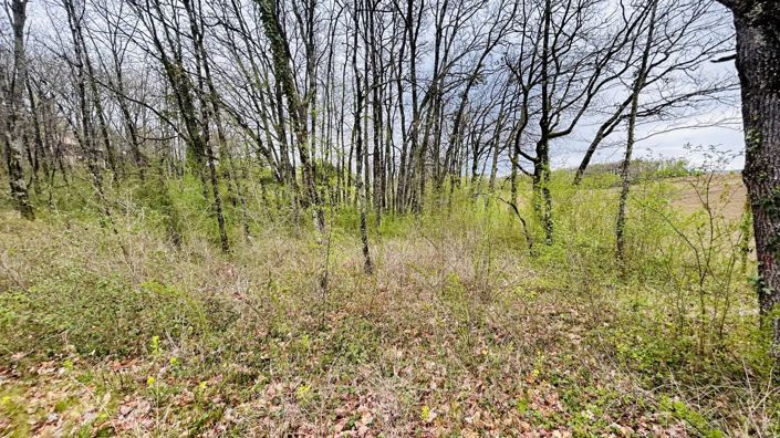 Image No.7-Property for sale