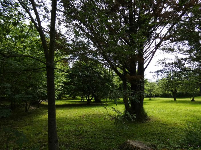 Image No.13-4 Bed House for sale