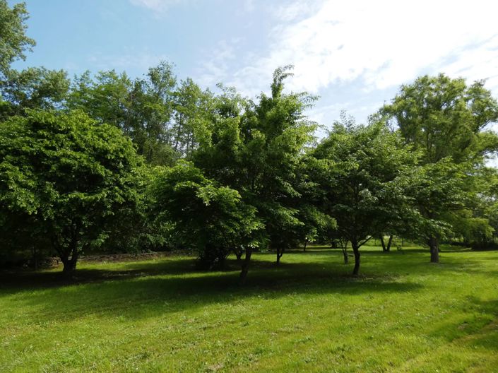 Image No.15-4 Bed House for sale