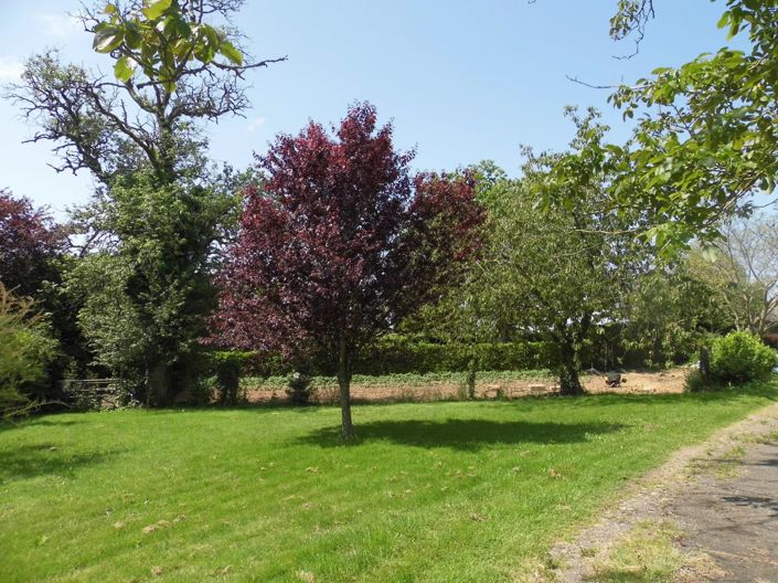 Image No.12-4 Bed House for sale