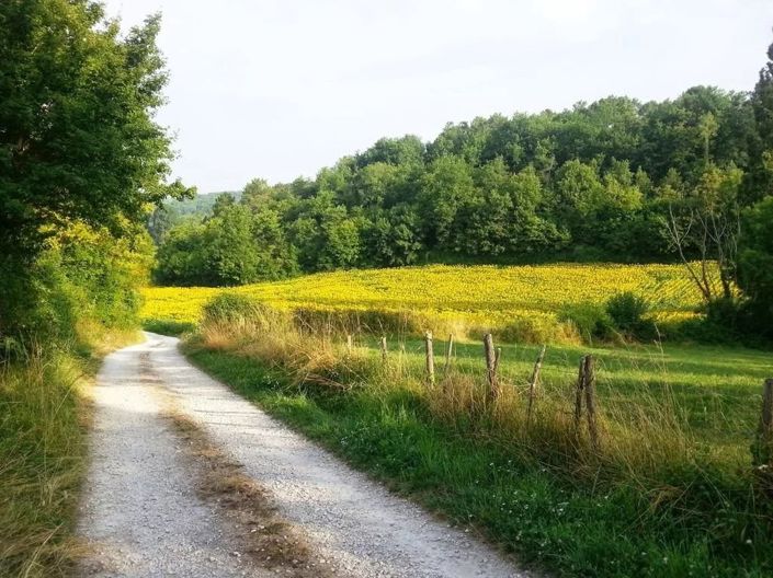 Image No.13-2 Bed Village House for sale