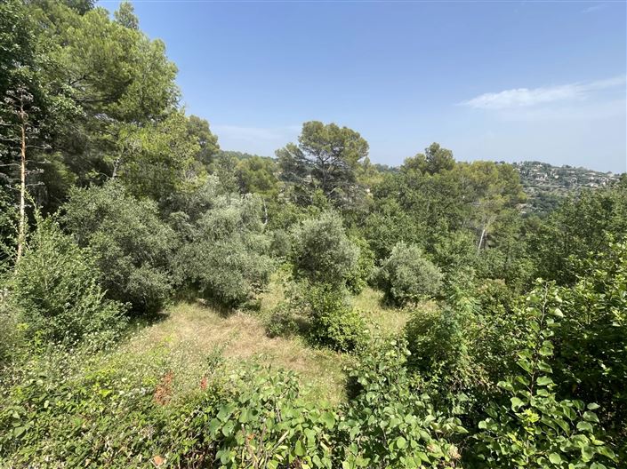 Image No.9-3 Bed House for sale