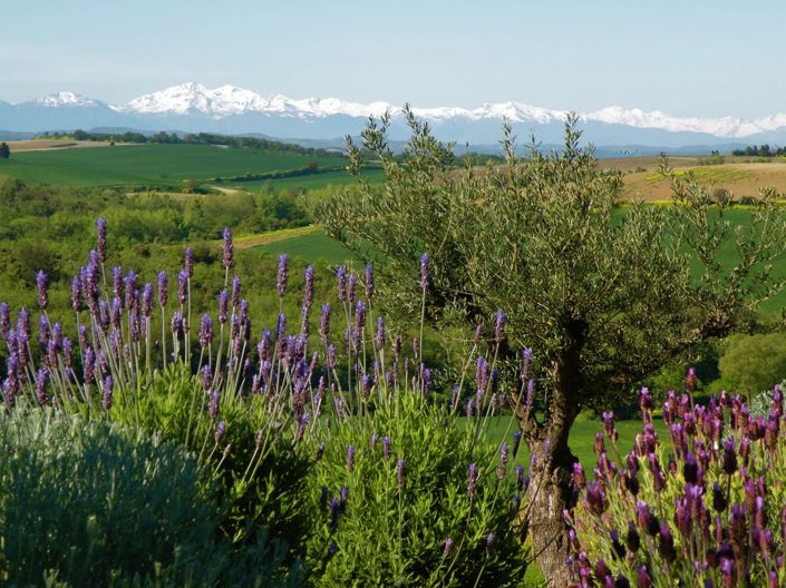 Image No.2-Maison de 18 chambres à vendre à Carcassonne