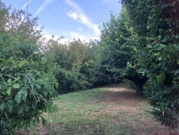 6bd0587c280694467e1c6ed3955f49cb7936afca7b640