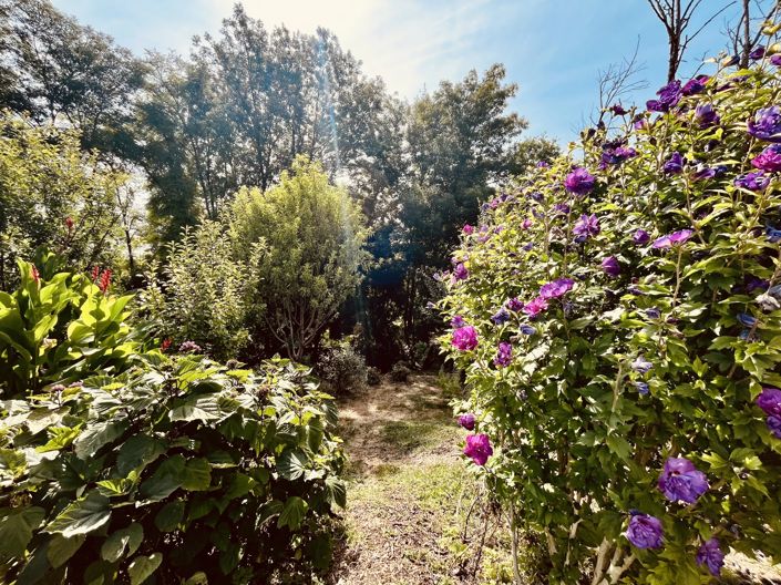 Image No.11-Maison de 4 chambres à vendre à Lalandusse