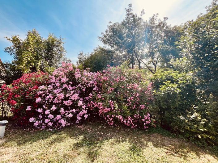 Image No.13-Maison de 4 chambres à vendre à Lalandusse
