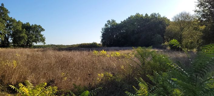 Image No.3-Propriété à vendre à Montaigu-de-Quercy
