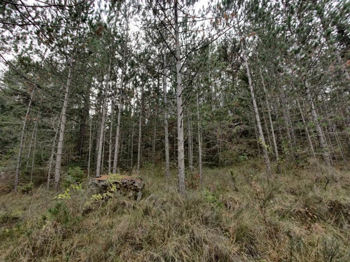 Image No.15-3 Bed Village House for sale