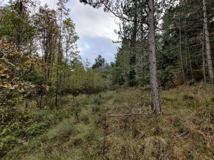 Image No.2-3 Bed Village House for sale