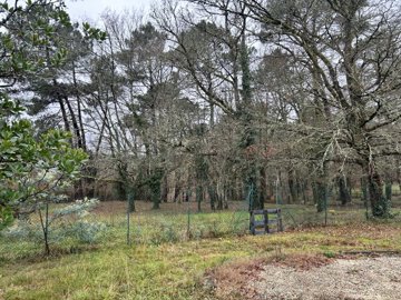 5c135323f6b20e3fa2031e2f4795074af7e56331e2403