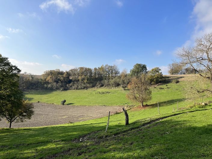 Image No.12-3 Bed House for sale