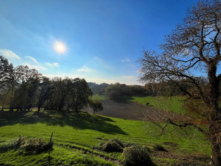 Image No.9-3 Bed House for sale