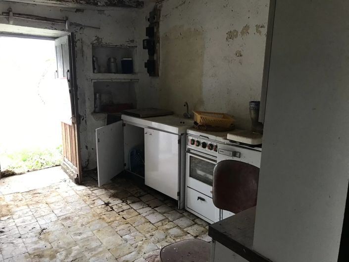 Image No.3-Village House for sale