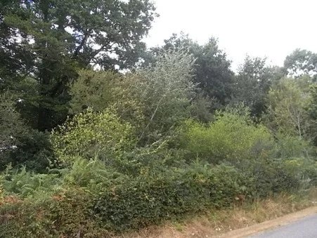 Image No.2-Property for sale