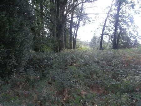 Image No.4-Property for sale