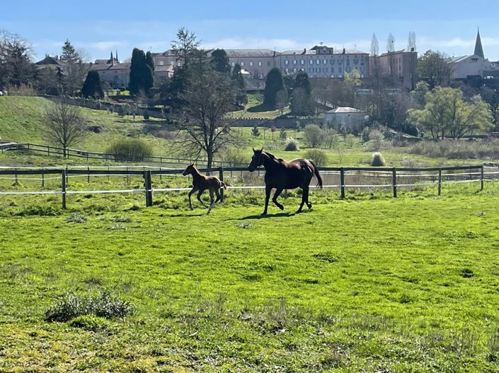 Image No.13-2 Bed House for sale