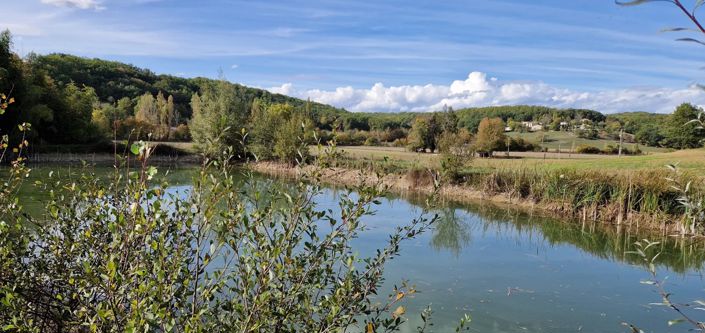 Image No.2-9 Bed House for sale