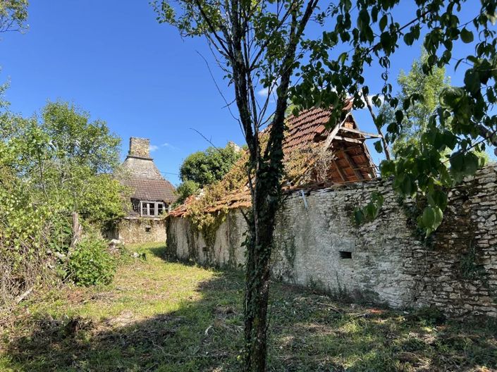 Image No.1-Propriété à vendre à Orniac