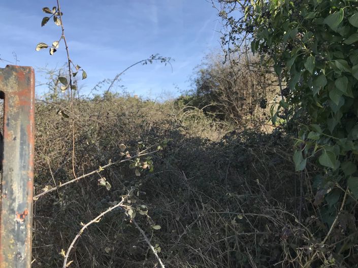 Image No.11-Grange à vendre à Dunet