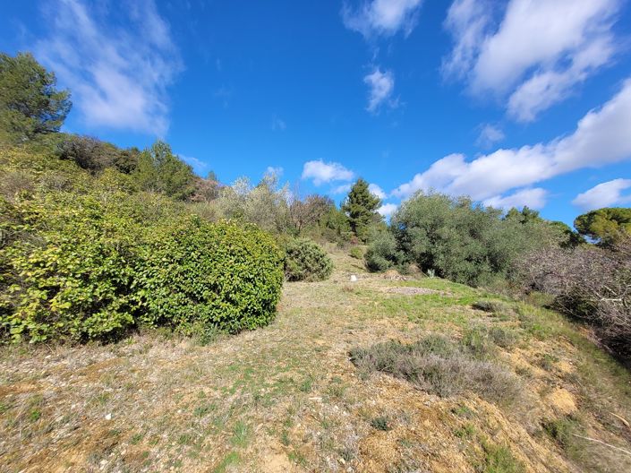 Image No.5-4 Bed House for sale