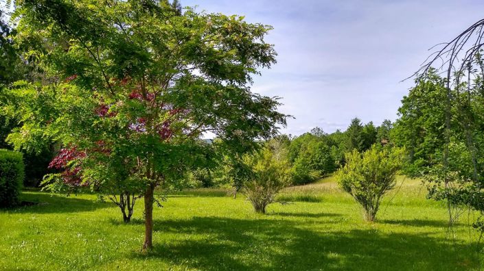 Image No.2-Maison de 3 chambres à vendre à Cazals