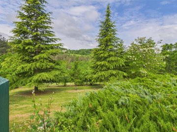 9440c71e8c308253e3268574de371653026771e104200