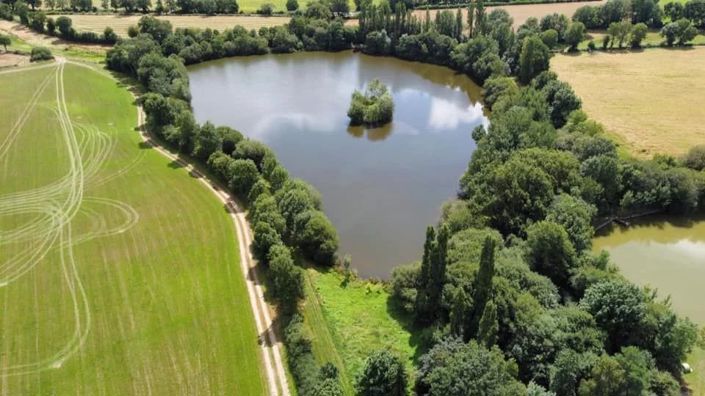 Image No.2-House for sale