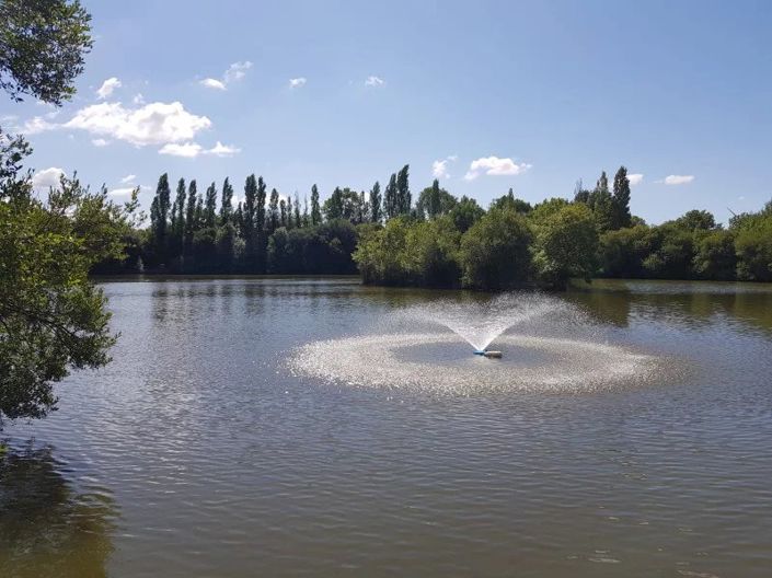 Image No.6-House for sale