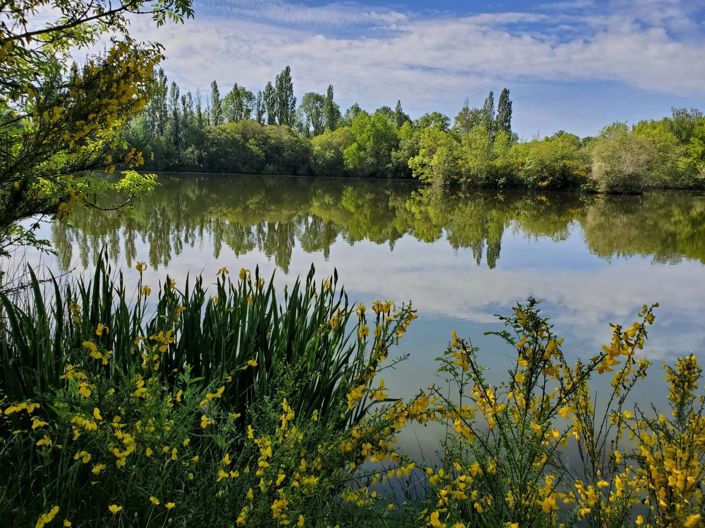 Image No.7-House for sale