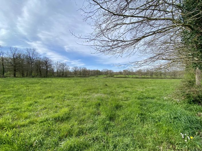 Image No.15-3 Bed House for sale