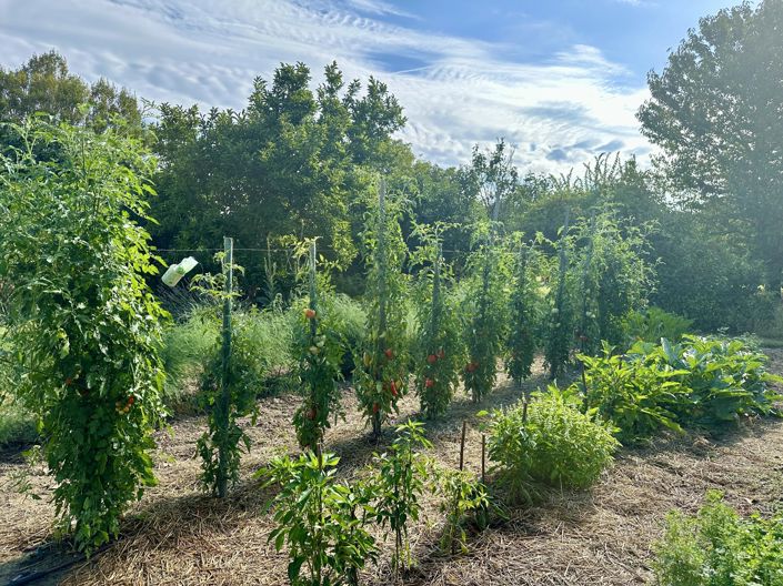 Image No.15-4 Bed Village House for sale