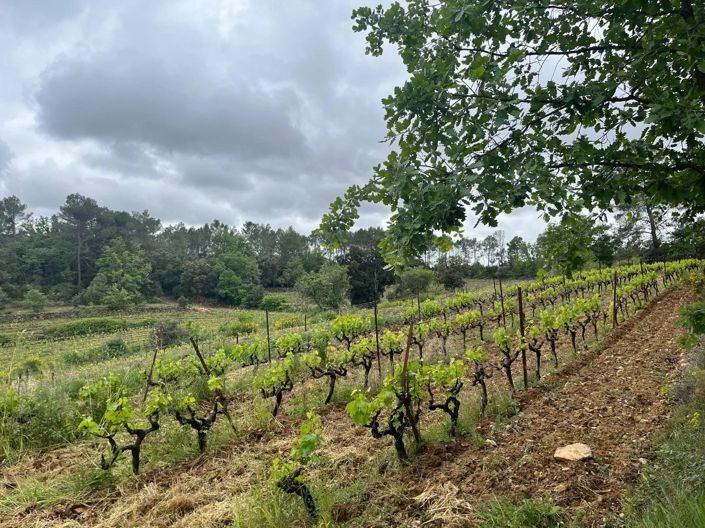 Image No.13-Maison de 6 chambres à vendre à Carcès