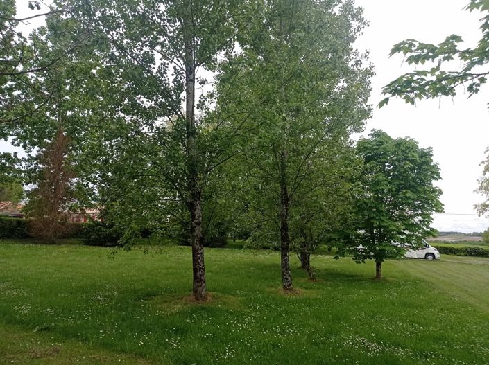 Image No.2-Maison de 5 chambres à vendre à Ribérac