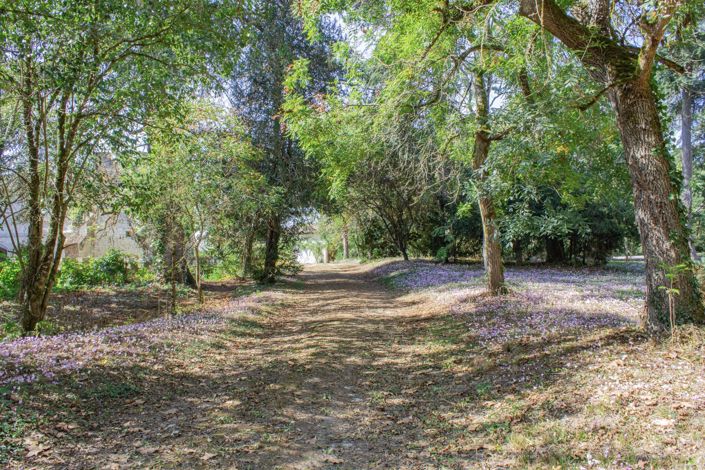 Image No.14-Maison de 11 chambres à vendre à Lectoure