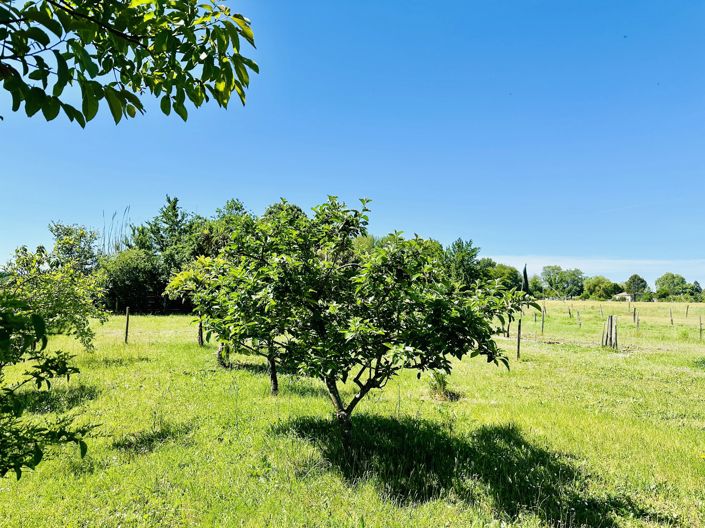 Image No.12-5 Bed House for sale