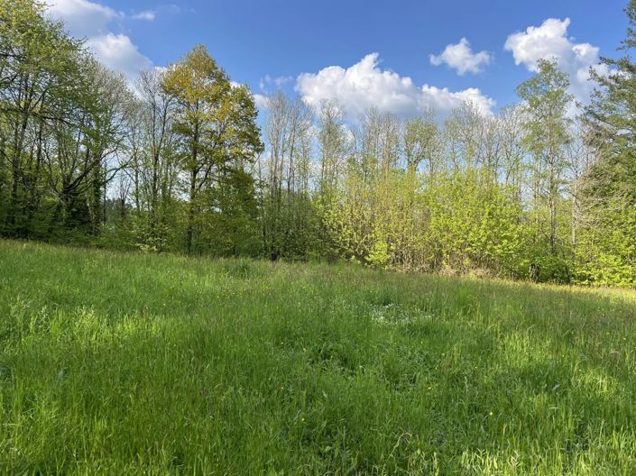 Image No.4-2 Bed House for sale