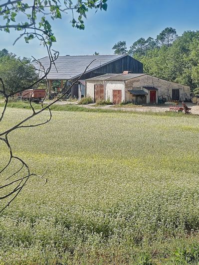 Image No.9-Maison à vendre à Châteauvert