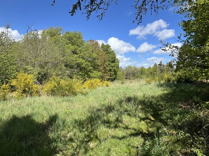 Image No.15-4 Bed House for sale